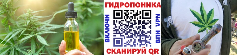 как найти   Мураши  Canna-Cookies конопля 