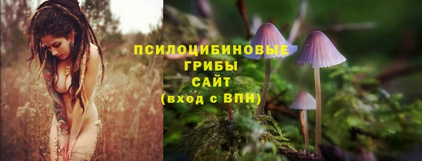 Альфа ПВП Ладушкин