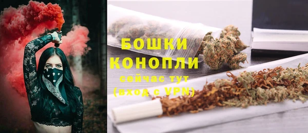 хмурый Лиски